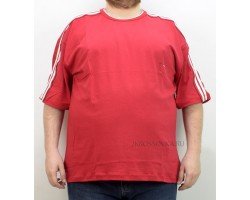 Мужская футболка GLACIER 1005-5