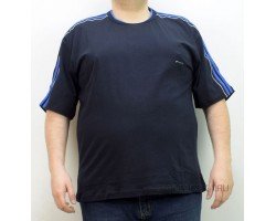 Мужская футболка GLACIER 1005-3