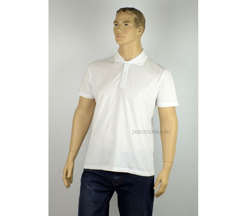 Купить Мужская футболка-поло GLACIER 15197-2 в магазине 2Krossovka