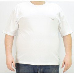 Мужская футболка GLACIER 1000-5