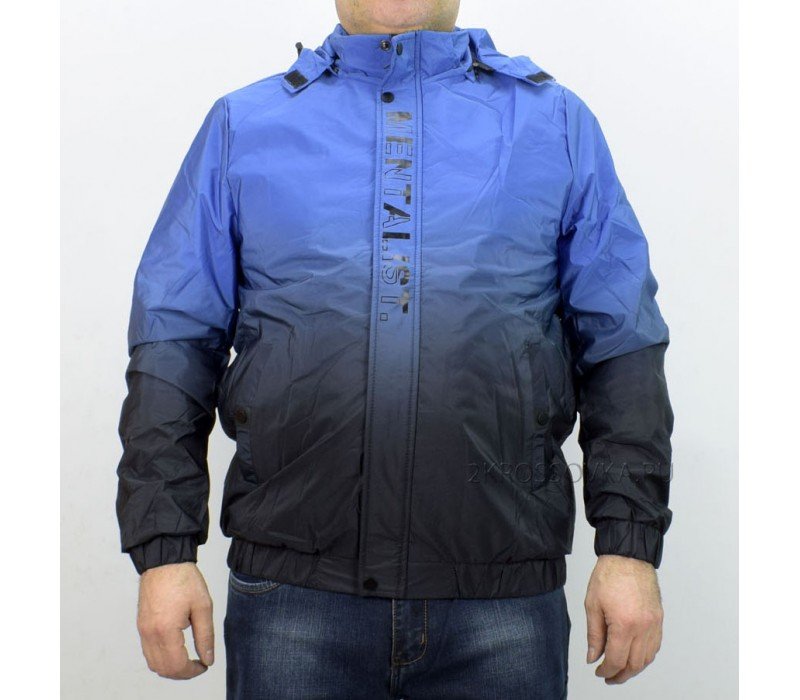 Купить Мужская куртка Tenlinsin L-2164 в магазине 2Krossovka